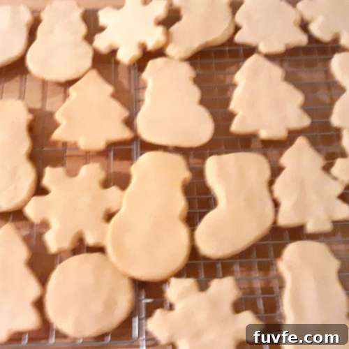 Keto Coconut Flour Sugar Cookies — Low-Carb Holiday Treat 2 Quick Keto Coconut Flour Sugar Cookies