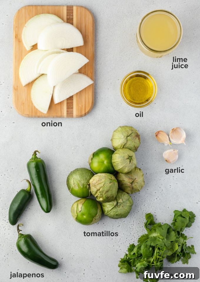 Homemade Green Enchilada Sauce with Tomatillos 4 Green enchilada sauce recipe ingredients