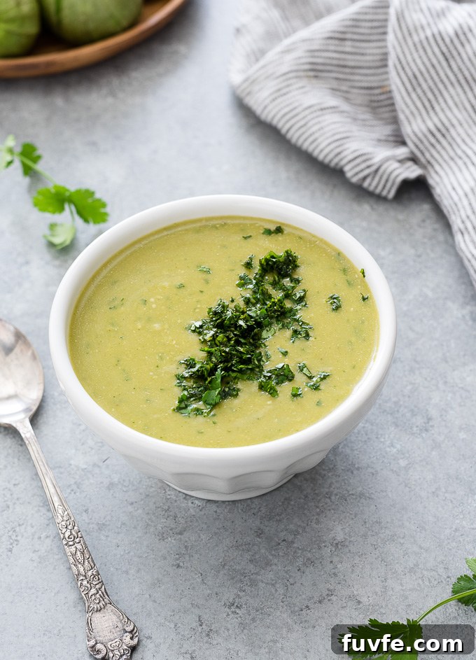 Homemade Green Enchilada Sauce with Tomatillos 7 Green enchilada sauce in a bowl with chopped cilantro