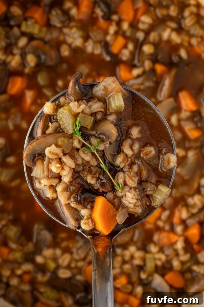 Ladle full of mushroom and barley soup
