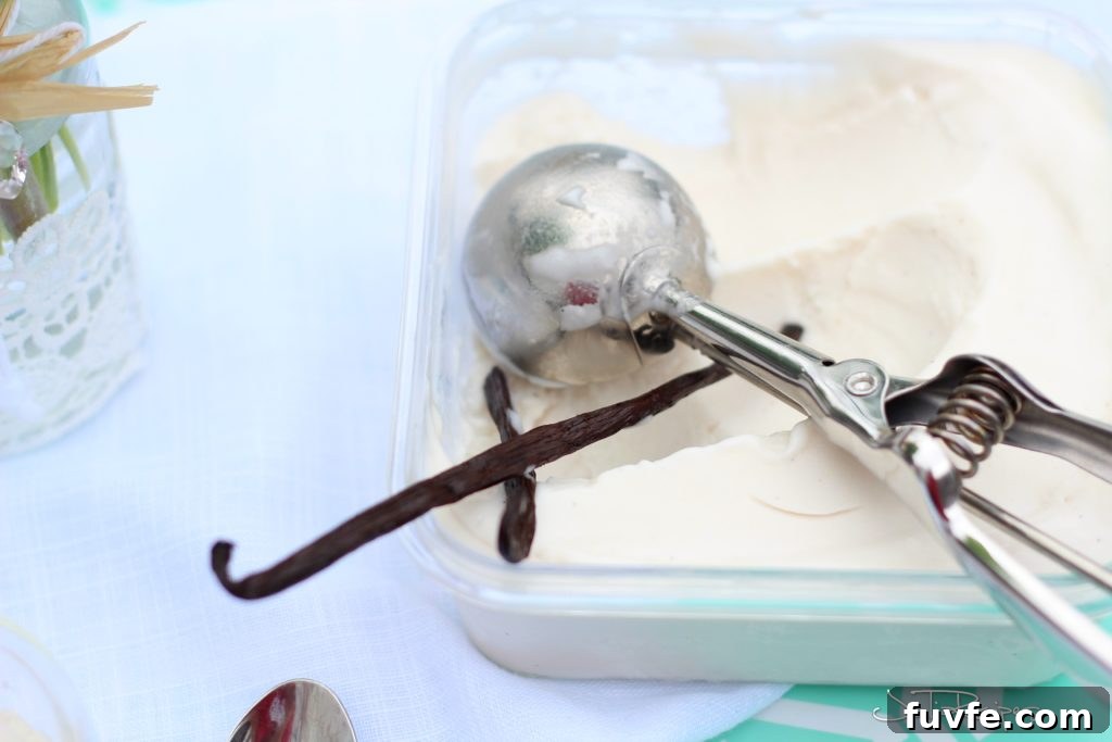 container with coconut vegan ice cream