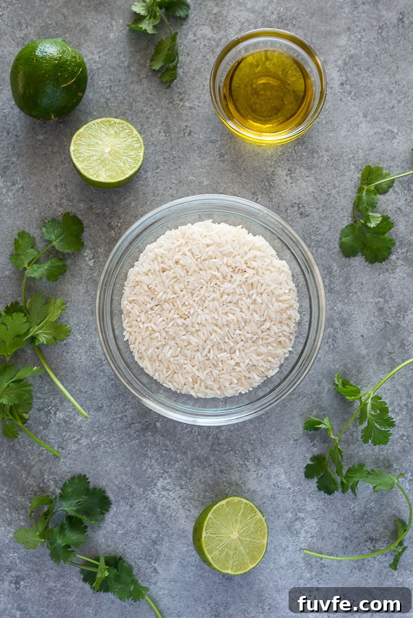 overhead shot of cilantro lime rice recipe ingredients