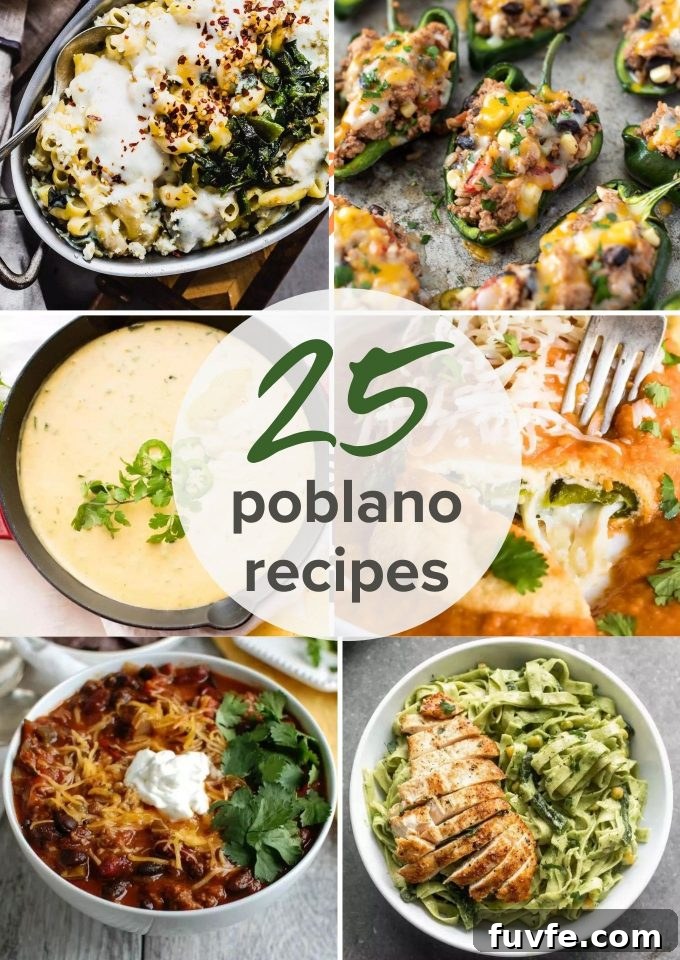 25 Poblano Pepper Recipes with Roasting and Storage Tips 2 collage of 25 poblano recipes