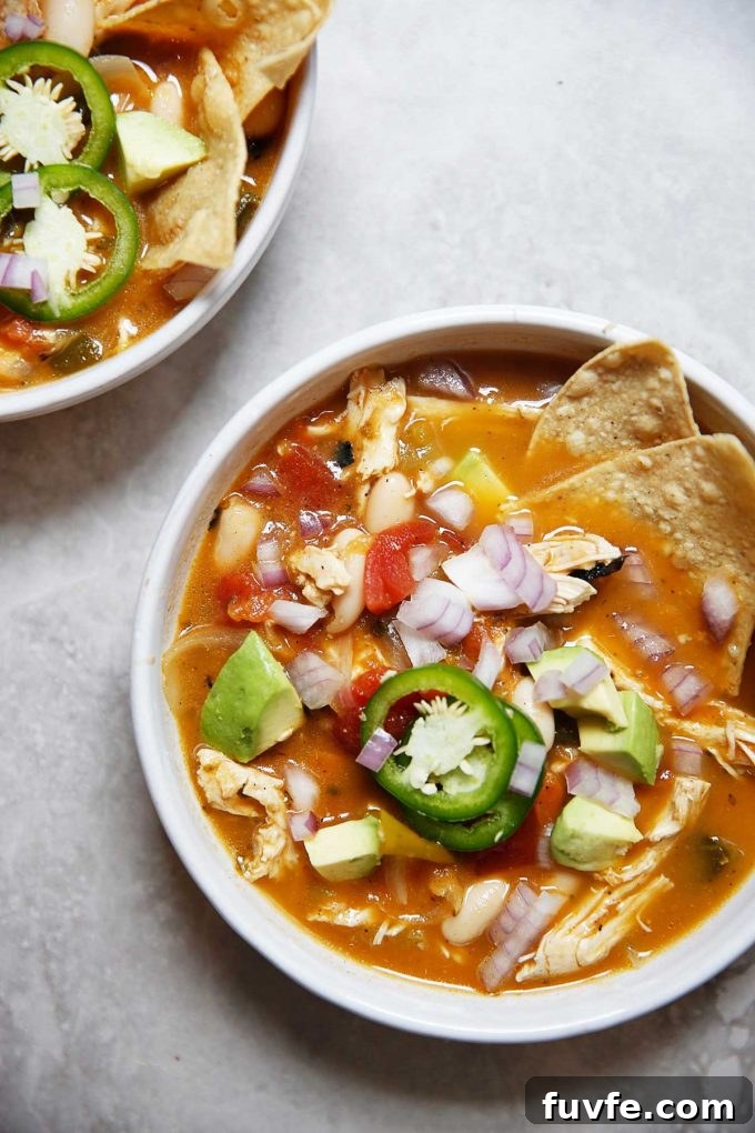 Overhead view of a bowl of roasted poblano chicken soup.