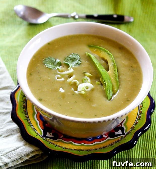 Chayote Chile Soup