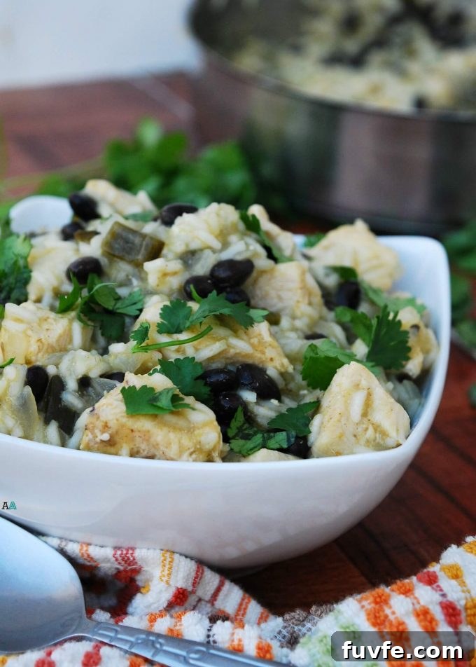 Green chili chicken and rice