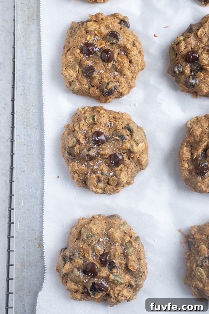 Pumpkin breakfast cookies on baking sheet after baking.