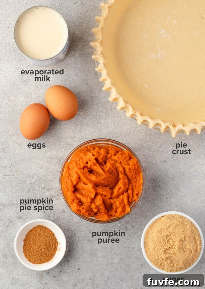 Homemade pumpkin pie ingredients