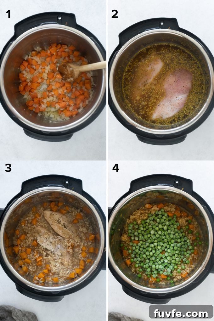 How to make chicken and rice in the instant pot