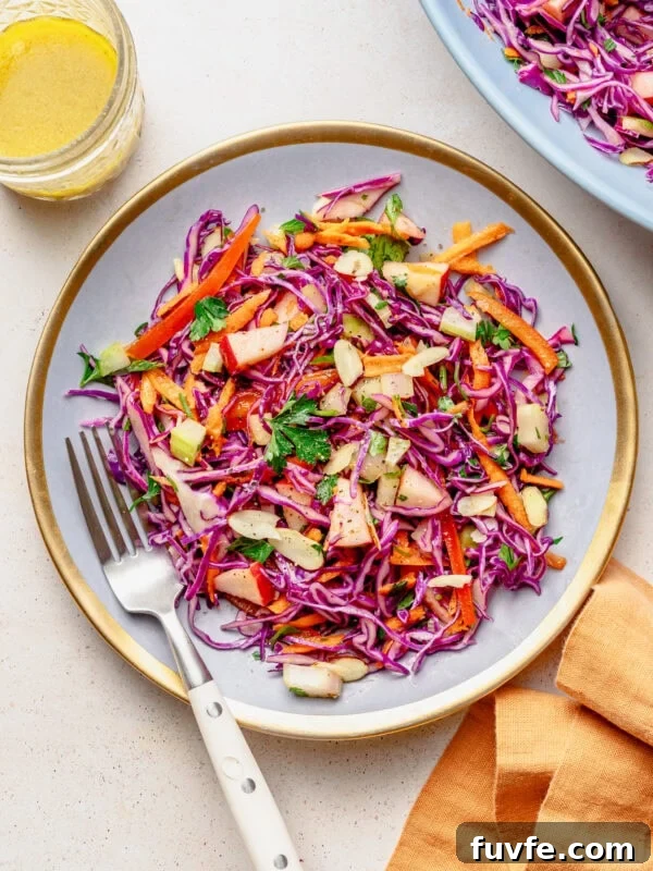 Red cabbage slaw on a plate with a fork with another plate nearby, and extra ingredients.