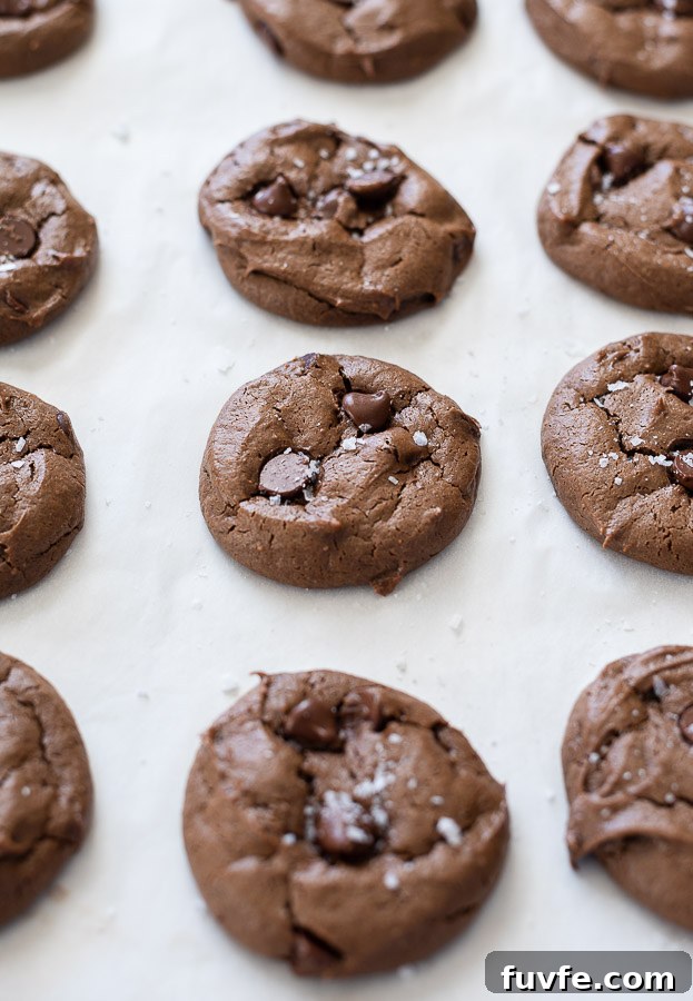 gluten free chocolate peanut butter cookies on baking sheet fresh from the oven