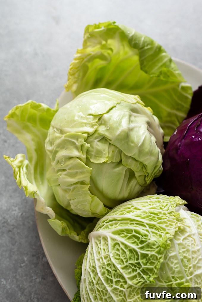 Head of green cabbage with outer leaves pulled back