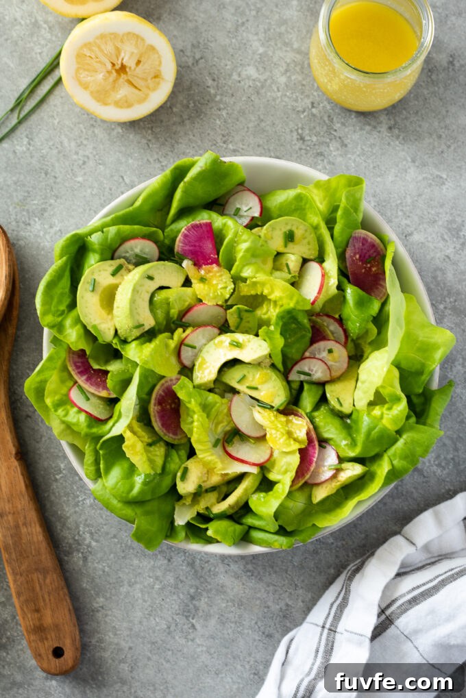 Butter Lettuce and Avocado Salad Recipe with Creamy Dressing 3 Butter lettuce salad with avocado and radish in a bowl.