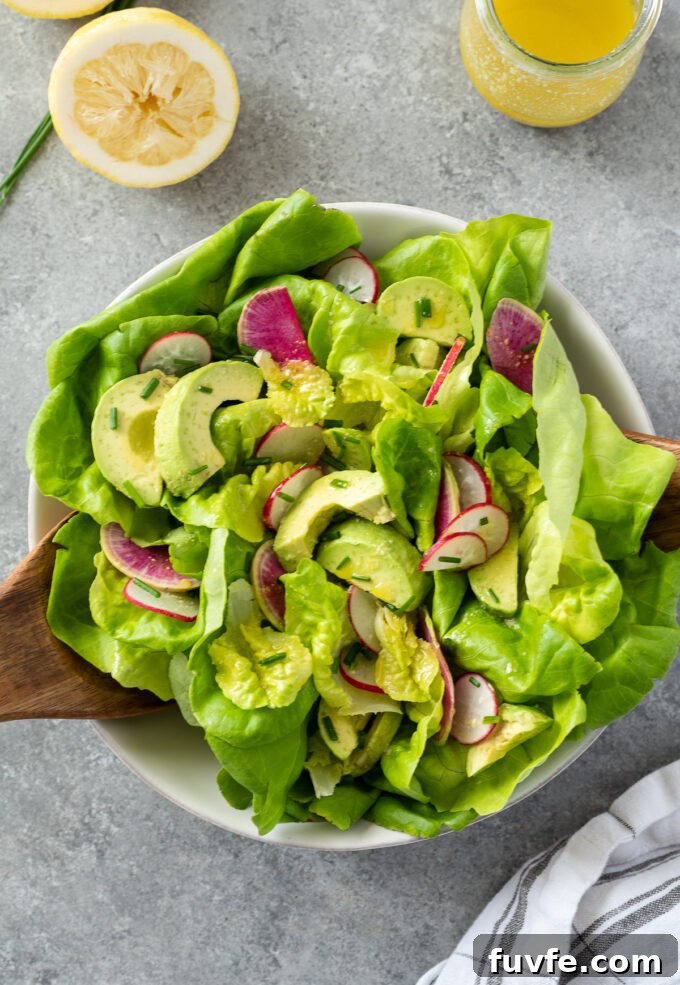 Butter Lettuce and Avocado Salad Recipe with Creamy Dressing 4 Butterhead lettuce salad with avocado, radish and lemon vinaigrette in a bowl.