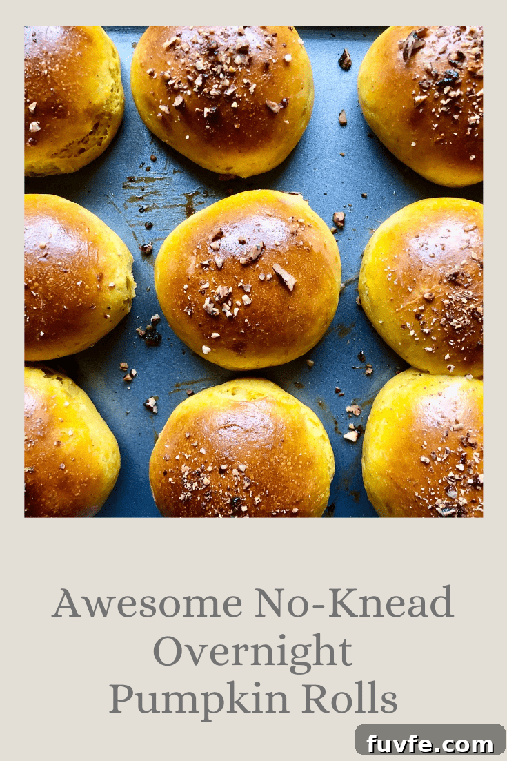 Sour Cream and Chive Potato Dinner Rolls 18 Awesome No-Knead Overnight Pumpkin Rolls