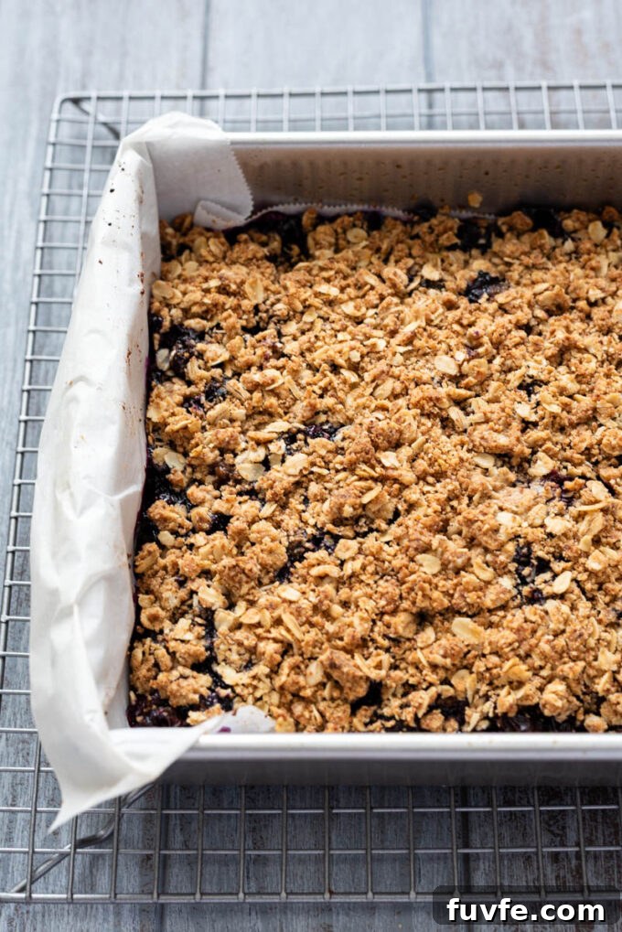 Blueberry Crumble Bars Recipe with Oat Crust 10 Blueberry crumble bars in baking pan.