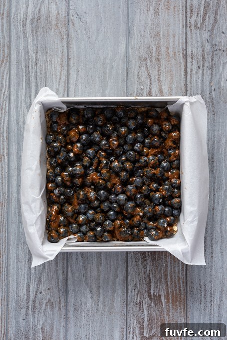 Blueberry Crumble Bars Recipe with Oat Crust 7 Blueberry filling on top of par baked oatmeal crumble.