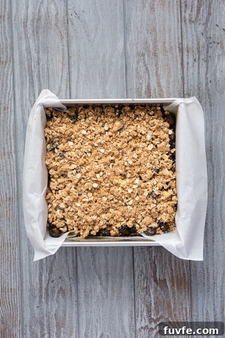 Blueberry Crumble Bars Recipe with Oat Crust 8 Blueberry crumble bars before baking.