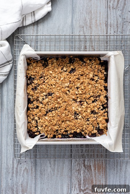 Blueberry Crumble Bars Recipe with Oat Crust 9 Blueberry crumble bars after baking.