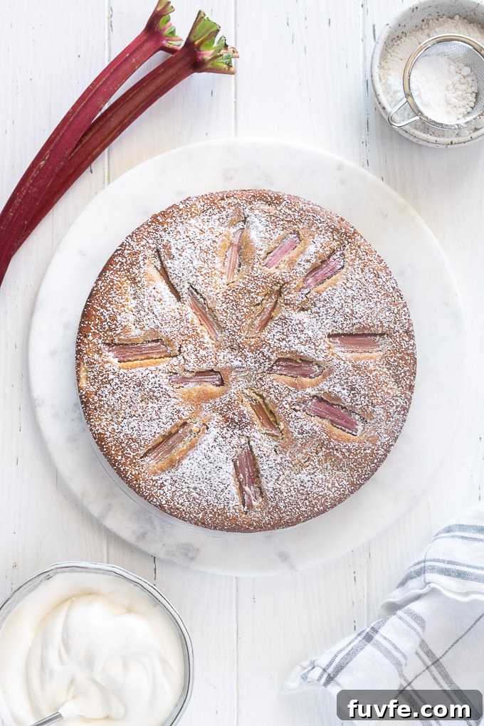 Rhubarb cake with rhubarb and whipped cream alongside