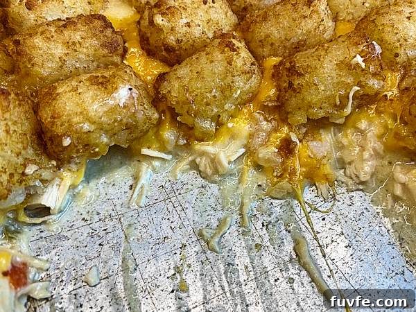 Cheesy Chicken and Tater Tot Casserole Recipe 2 img 3740 1