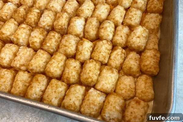 Cheesy Chicken and Tater Tot Casserole Recipe 7 tater tot topping