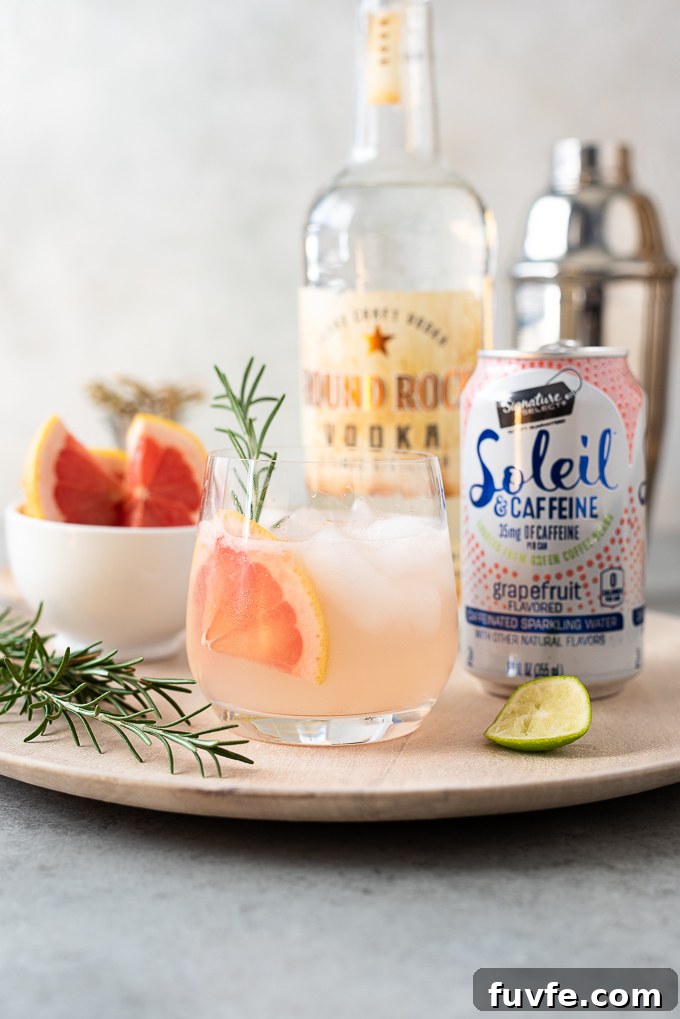 Vodka spritzer recipe ingredients