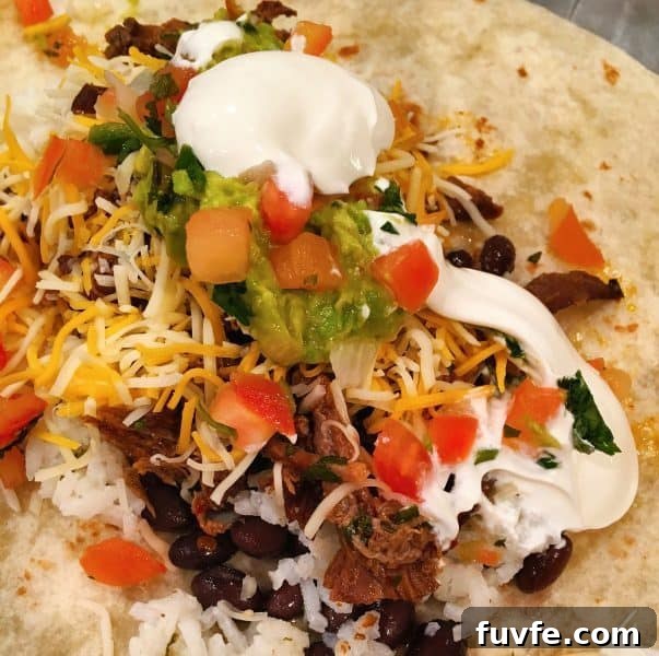 Filling for burrito with cheese, guacamole, beef barbacoa