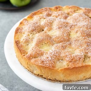 Classic French Apple Cake Recipe with Cinnamon 11 french apple cake dusted with powdered sugar