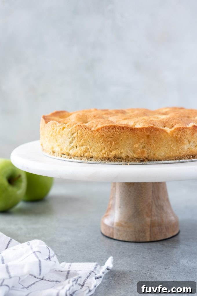 Classic French Apple Cake Recipe with Cinnamon 3 french apple cake on a cake stand