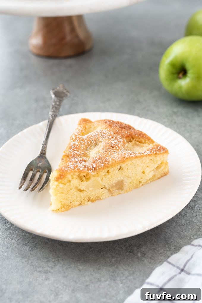 Classic French Apple Cake Recipe with Cinnamon 9 slice of french apple cake on a plate