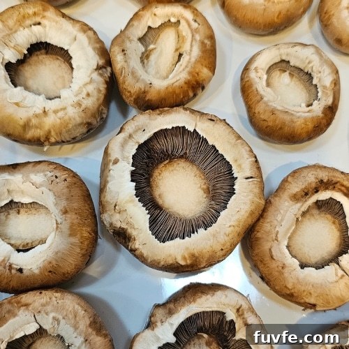 raw mushrooms