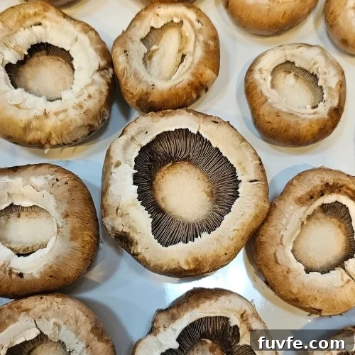 raw mushrooms
