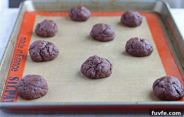 ChocolateFudgeCookies2forsite img 4283 1