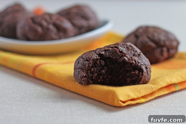 Chocolate Fudge Cookies3forsite img 4283 2