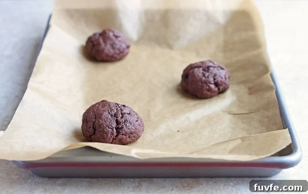 ChocolateFudgeCookies1forsite img 4283 3