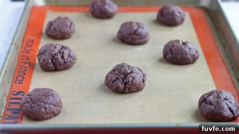 Chocolate Fudge Cookies