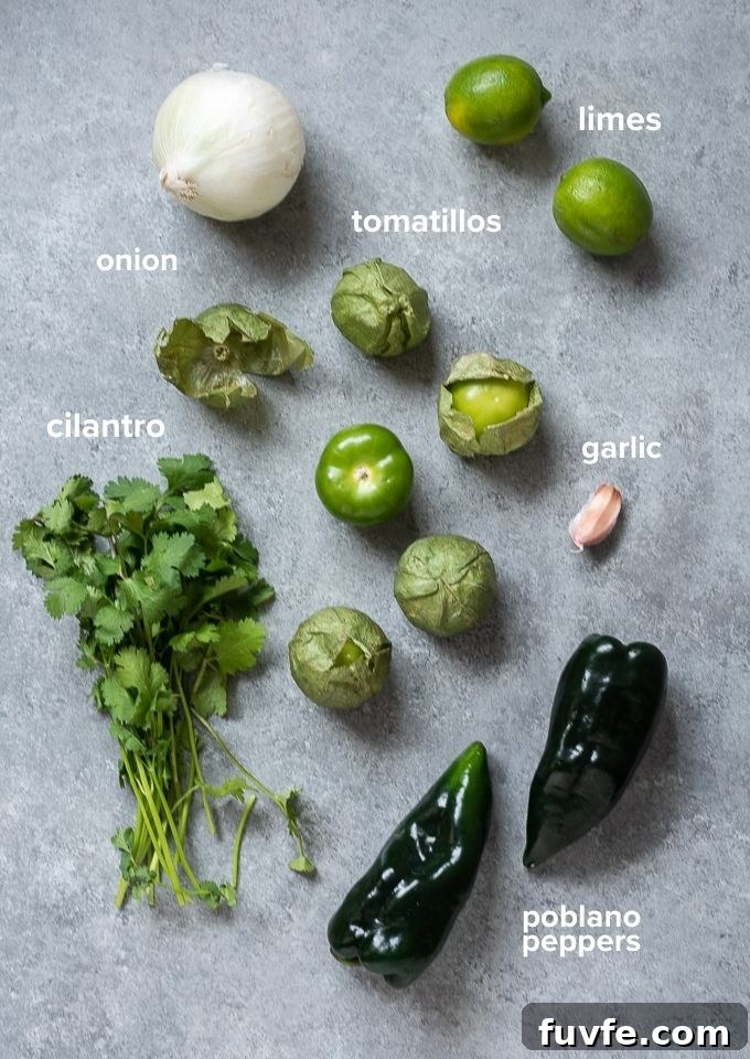 Tomatillo salsa ingredients