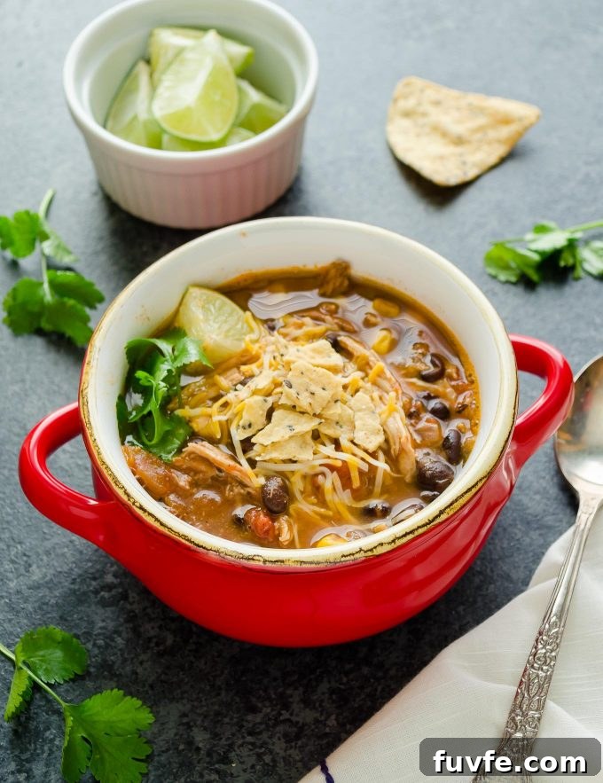 Slow Cooker Chicken Tortilla Soup Recipe with Avocado and Lime 2 Chicken tortilla soup in a red bowl with chips and cilantro