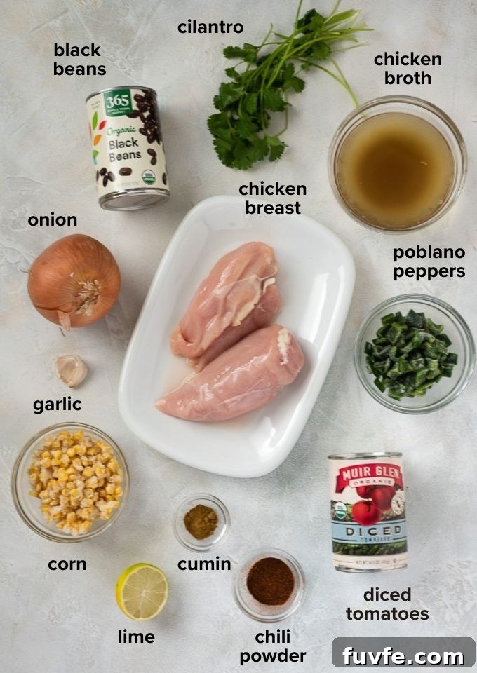 Slow Cooker Chicken Tortilla Soup Recipe with Avocado and Lime 3 Chicken tortilla soup recipe ingredients