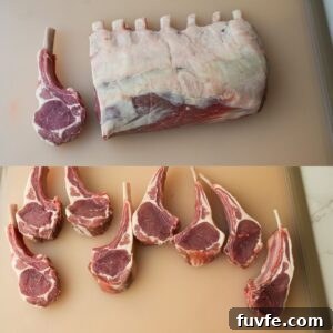 Juicy Garlic Butter Lamb Chops with Rosemary Guide 4 Lamb chops cut from rack of lamb.