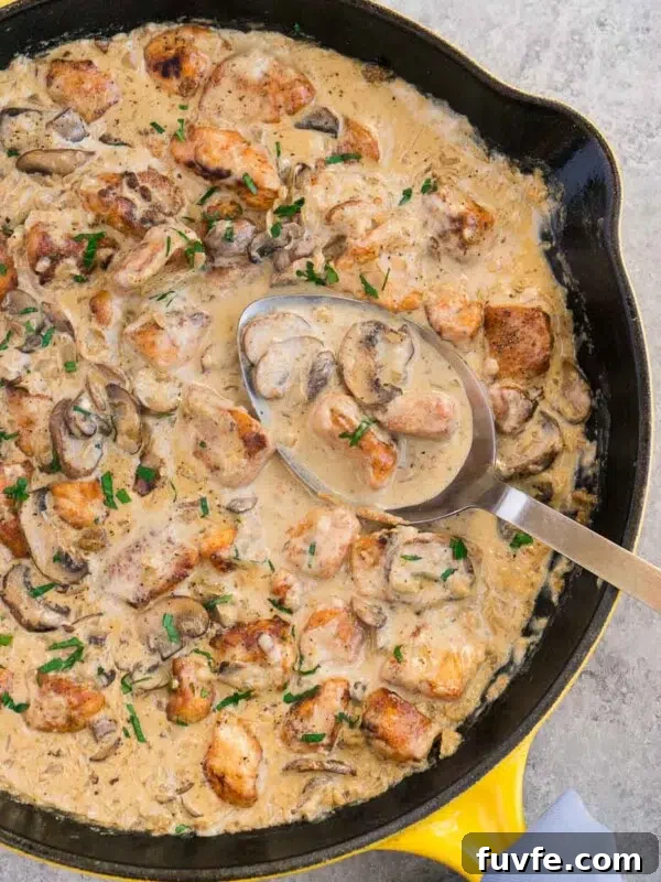 chicken stroganoff with mushrooms in a skillet