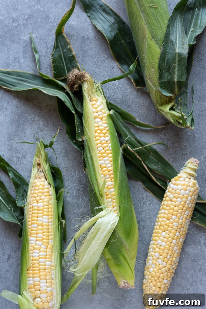 Fresh corn on the cob before cooking