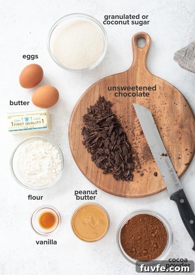 Fudgy Peanut Butter Brownies Recipe 4 Peanut butter brownie recipe ingredients