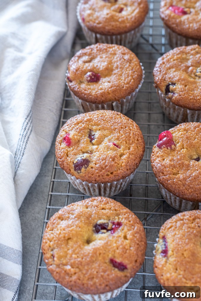 Healthy cranberry orange muffins on a wire rack