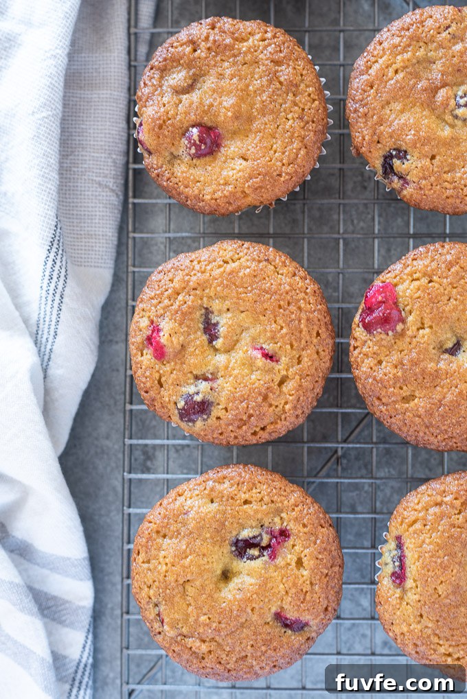 Healthy cranberry orange muffins cooling on a wire rack