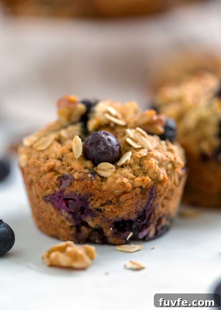 Blueberry Oat Muffins