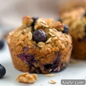 A close up of a Blueberry Oat Muffin