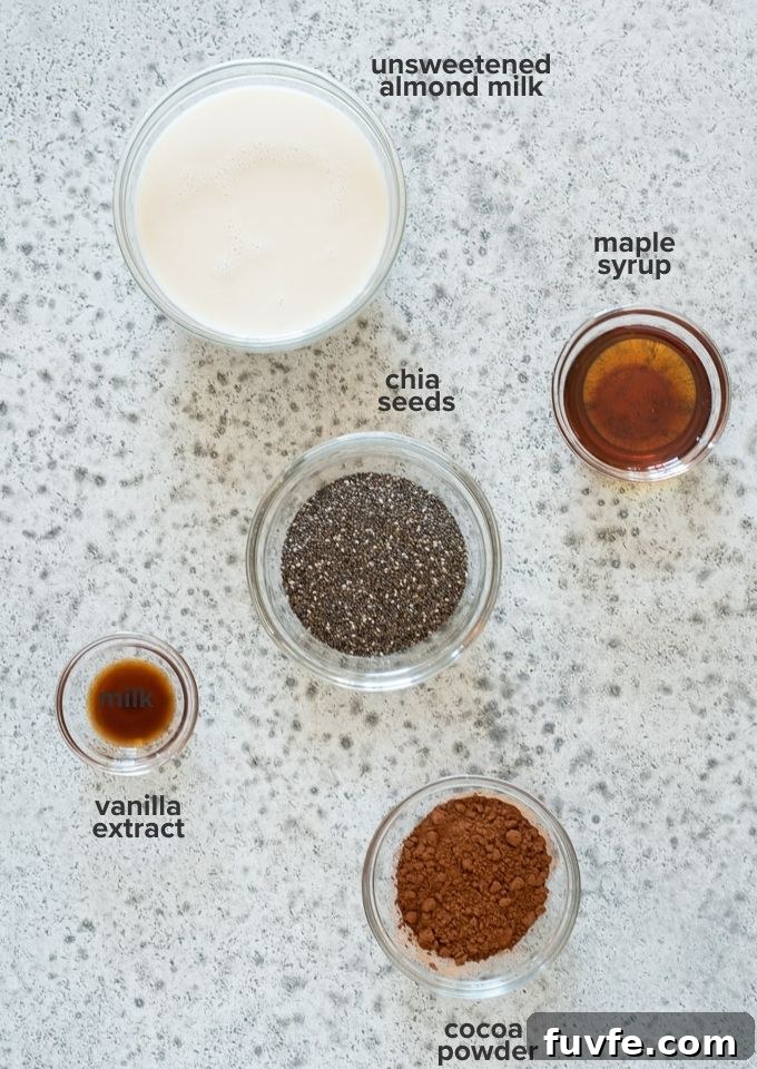 Decadent Chocolate Chia Seed Pudding Recipe 4 Chocolate chia pudding recipe ingredients