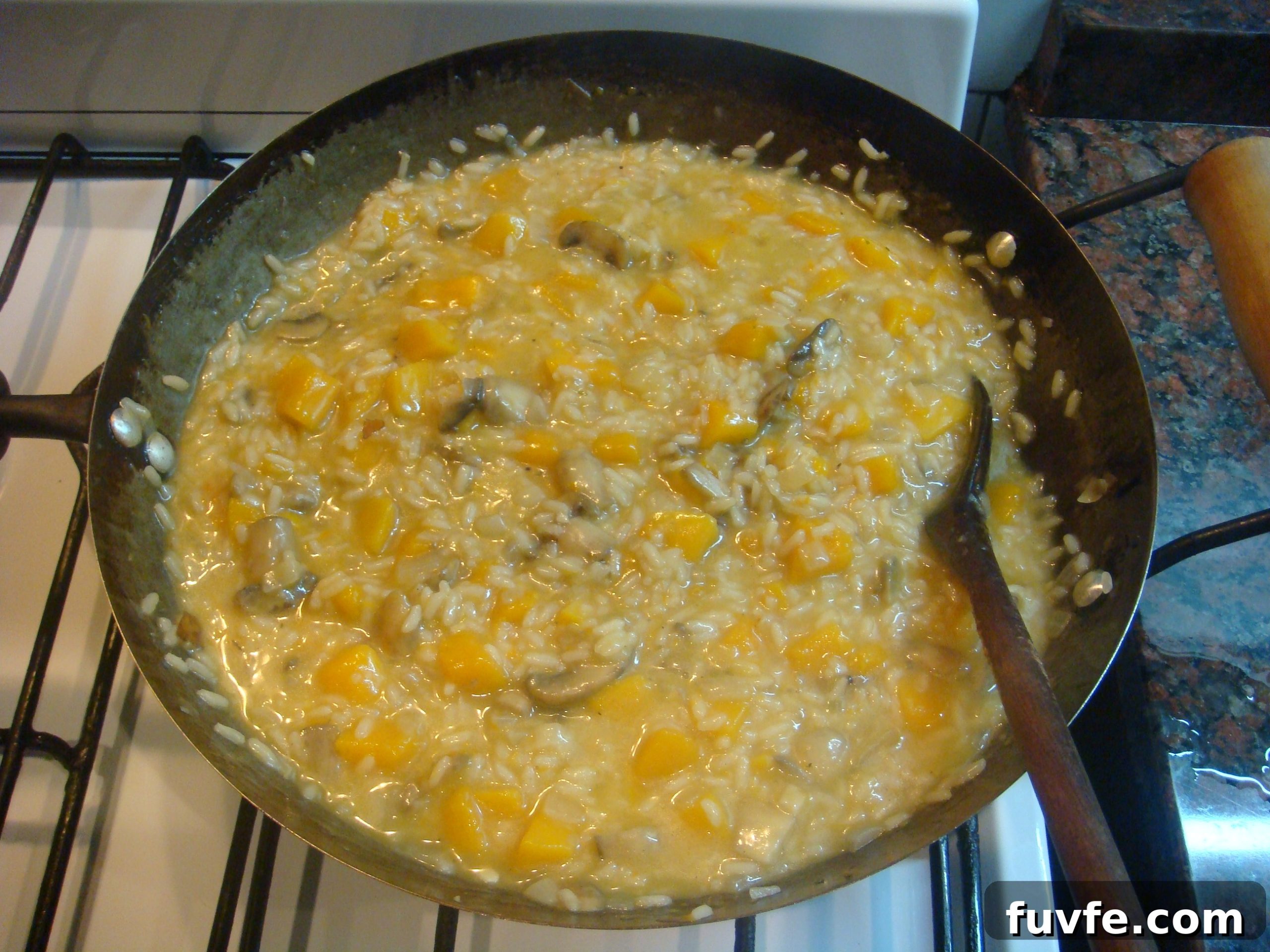 Creamy Butternut Squash and Mushroom Risotto Recipe 11 DSC06834